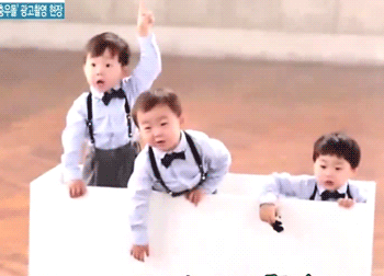 비글 삼둥이 대한민국만세를 나란히 세워놓고 사진 찍은 비결.jpg | 인스티즈