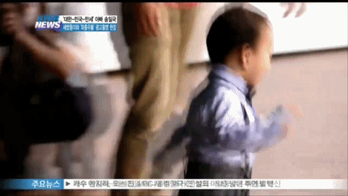 비글 삼둥이 대한민국만세를 나란히 세워놓고 사진 찍은 비결.jpg | 인스티즈