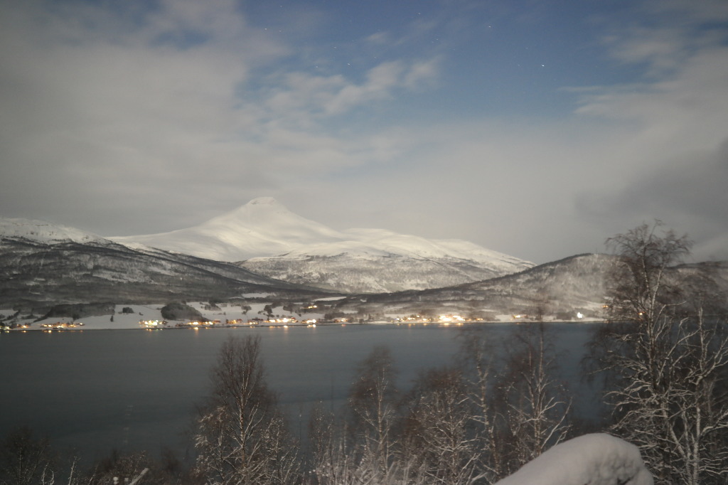 도탁인의 미국 여행기 마지막화 | 인스티즈