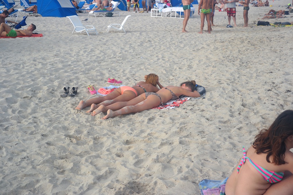 도탁인의 미국 여행기 마지막화 | 인스티즈