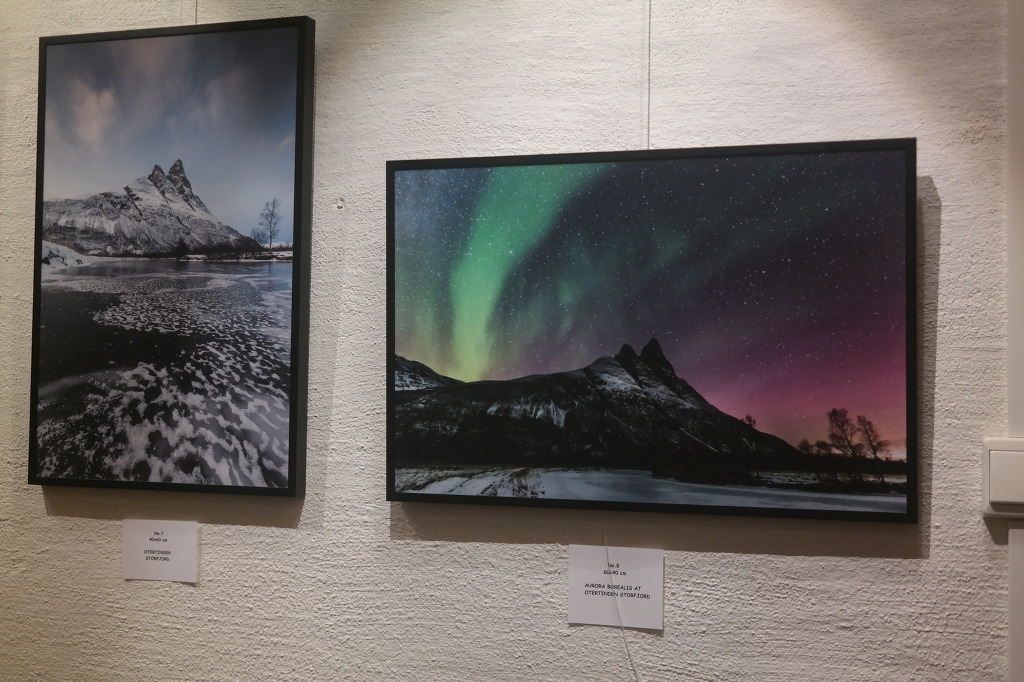 도탁인의 미국 여행기 마지막화 | 인스티즈