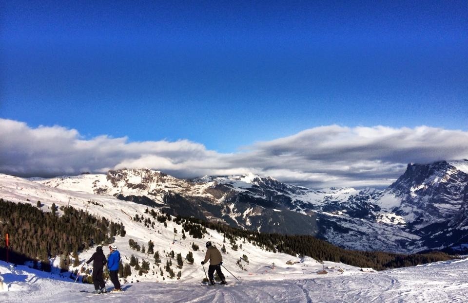 도탁인의 미국 여행기 마지막화 | 인스티즈