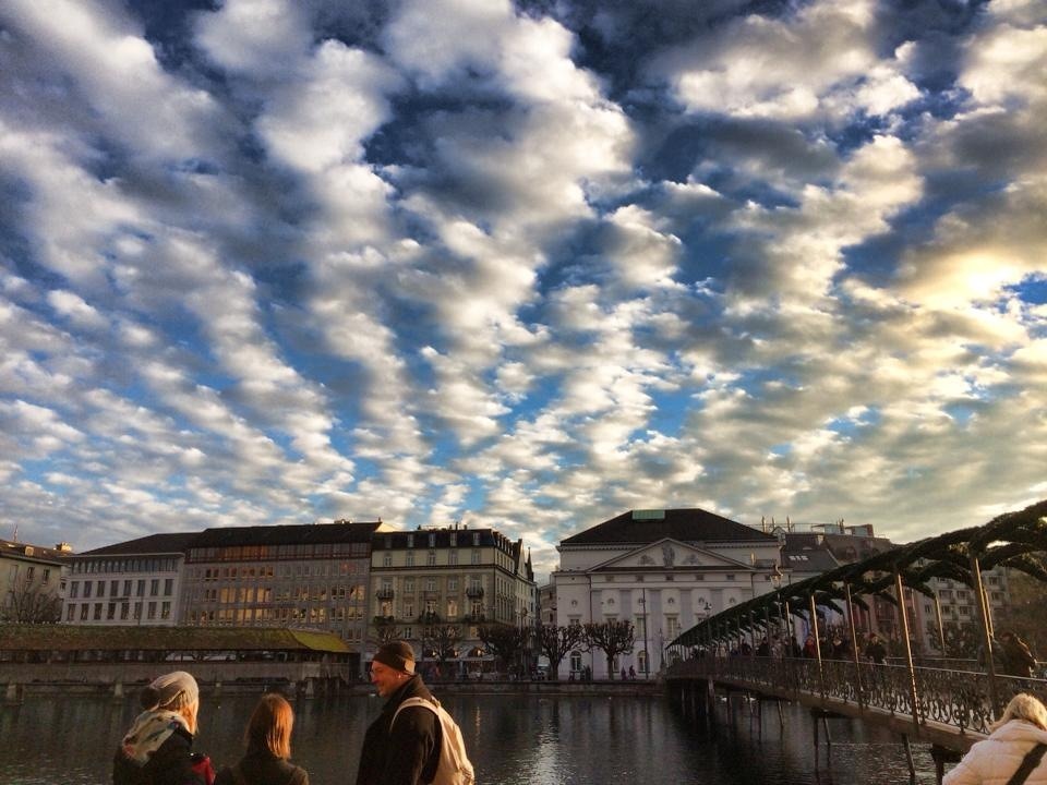 도탁인의 미국 여행기 마지막화 | 인스티즈