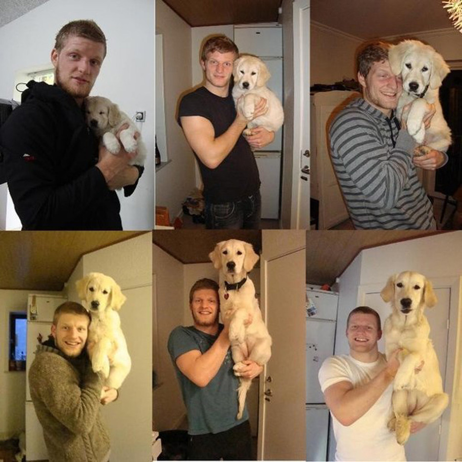 애견인들의 로망 | 인스티즈