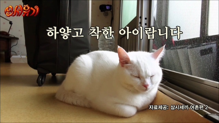 [신서유기] 방송중 욕하는 이승기ㅋㅋㅋ.jpg | 인스티즈