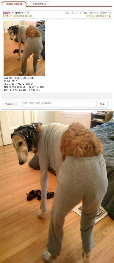 전설의 쇼핑몰 후기 모음 | 인스티즈