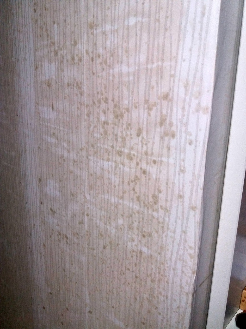 고기 구워 먹다가 이 폭발해서 난장판 됐습니다 | 인스티즈