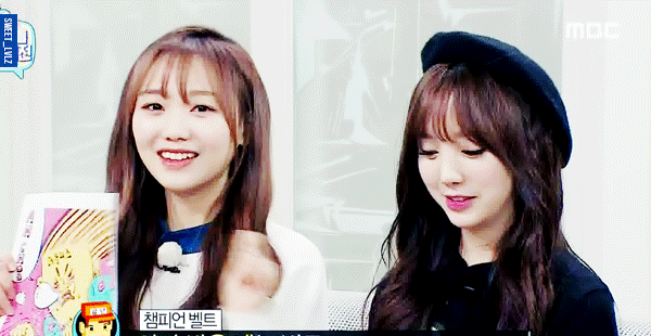 러블리즈 인기 지분율 80% 듀오 | 인스티즈