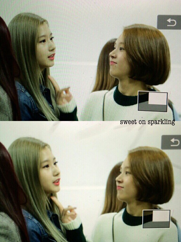 트와이스 사나밖에 모르는 채영이.gif | 인스티즈