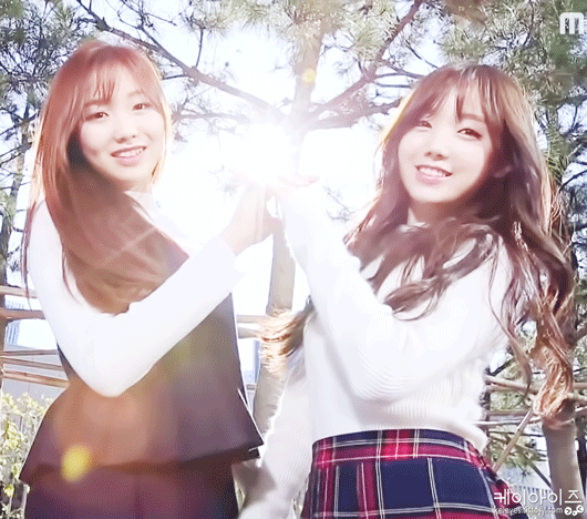 러블리즈 인기 지분율 80% 듀오 | 인스티즈