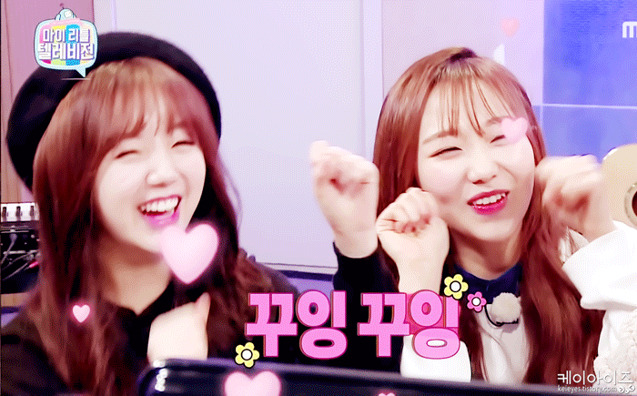 러블리즈 인기 지분율 80% 듀오 | 인스티즈