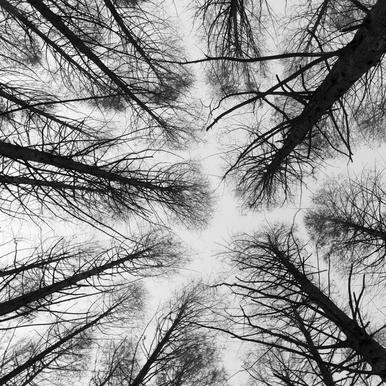 [미리듣기] 러브엑스테레오(Love X Stereo) - Hide And Seek | 인스티즈