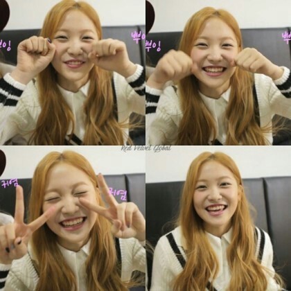 레드벨벳 4분할 모음.JPG | 인스티즈