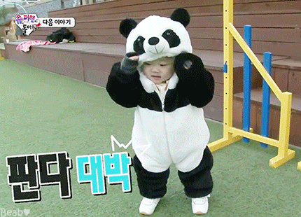 [슈퍼맨이돌아왔다] 팬더옷 입은 대박이 | 인스티즈
