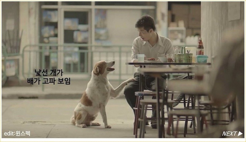 광고하면 떠오르는 나라 태국 | 인스티즈