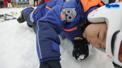 [슈돌] 소나무처럼 자유영혼 돋는 만세 (이번주 예고ㅋㅋㅋㅋ) | 인스티즈