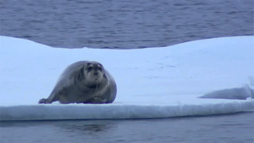 흔한 라디오 방송사고... | 인스티즈