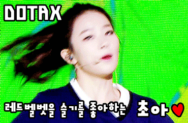 고양이 인줄 알고 키웠는데 | 인스티즈