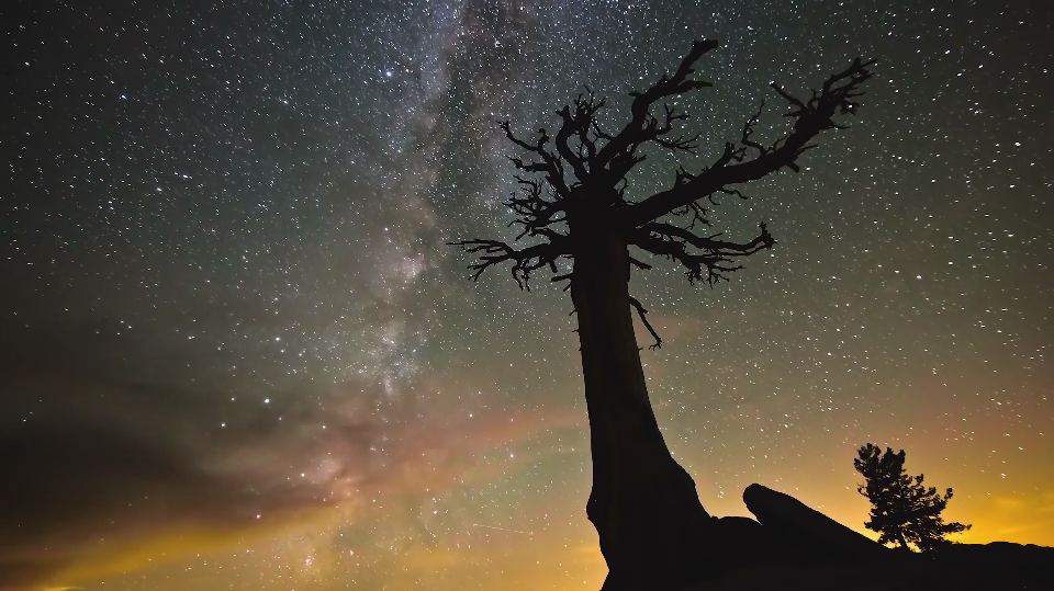 가보고 싶은 미국 요세미티 국립공원의 은하수 | 인스티즈