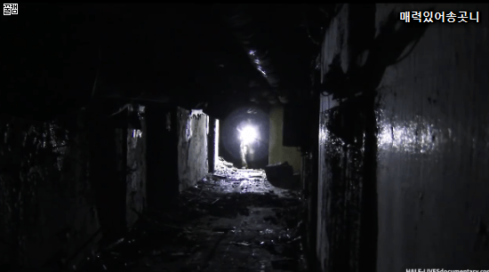 상공에서 촬영한 체르노빌 근황 | 인스티즈