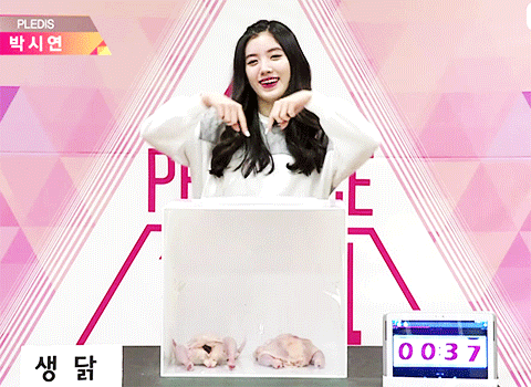 프로듀스101 예쁜 연습생 | 인스티즈