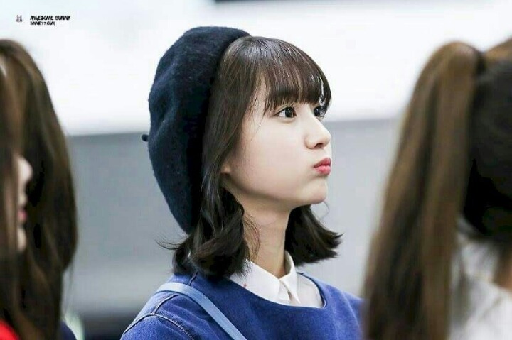 님들 수지, 설현, 아이린, 손나은, 채영 가지세요. 저는 비니♡♡ | 인스티즈