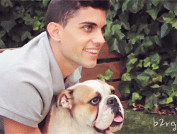 [마르크바르트라] 최근에 인스타에 눈에 넣어도 아프지 않을 딸 갈라와 애완견 불독 니나 | 인스티즈