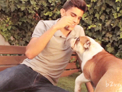 [마르크바르트라] 최근에 인스타에 눈에 넣어도 아프지 않을 딸 갈라와 애완견 불독 니나 | 인스티즈