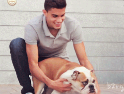 [마르크바르트라] 최근에 인스타에 눈에 넣어도 아프지 않을 딸 갈라와 애완견 불독 니나 | 인스티즈