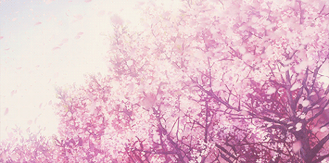 약 2주 뒤 보게 될 현상 | 인스티즈