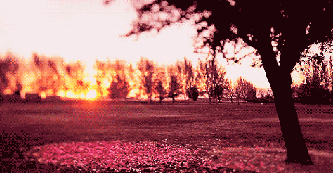 약 2주 뒤 보게 될 현상 | 인스티즈