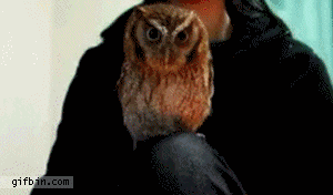 장우혁 롤모델 | 인스티즈