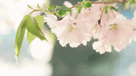 약 2주 뒤 보게 될 현상 | 인스티즈