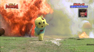 유명한 짤의 원본동영상 (feat. 귀여움) | 인스티즈