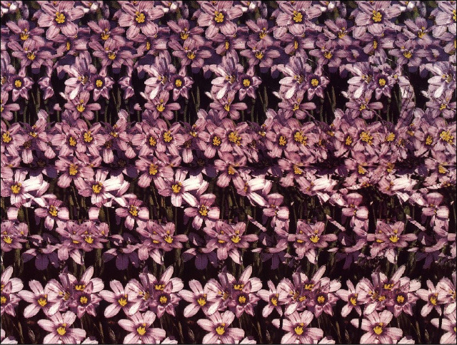 매직아이 | 인스티즈