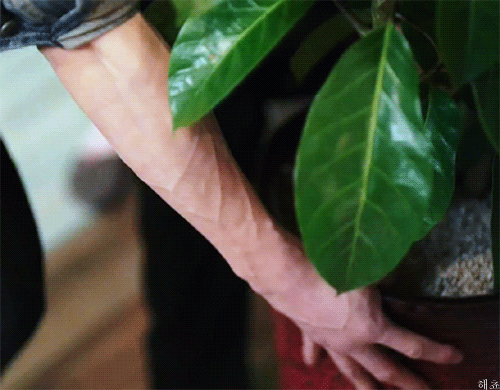 [시그널] 차수현 어머니가 박해영을 꼬드긴 이유ㅋㅋㅋ | 인스티즈