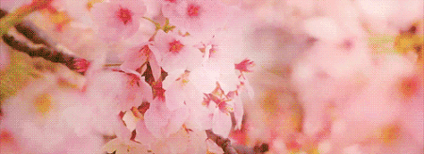 약 2주 뒤 보게 될 현상 | 인스티즈