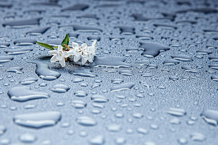 안구 정화 하고 가세요~ | 인스티즈