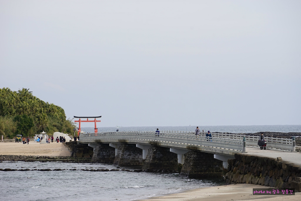 일본 바이크 투어 D+7 | 인스티즈