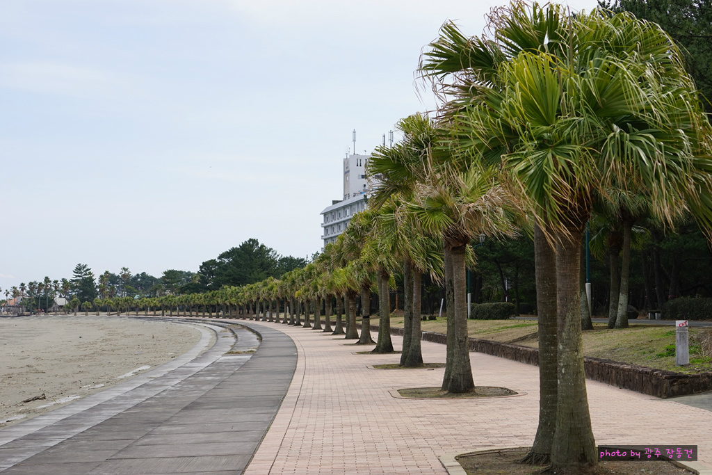 일본 바이크 투어 D+7 | 인스티즈