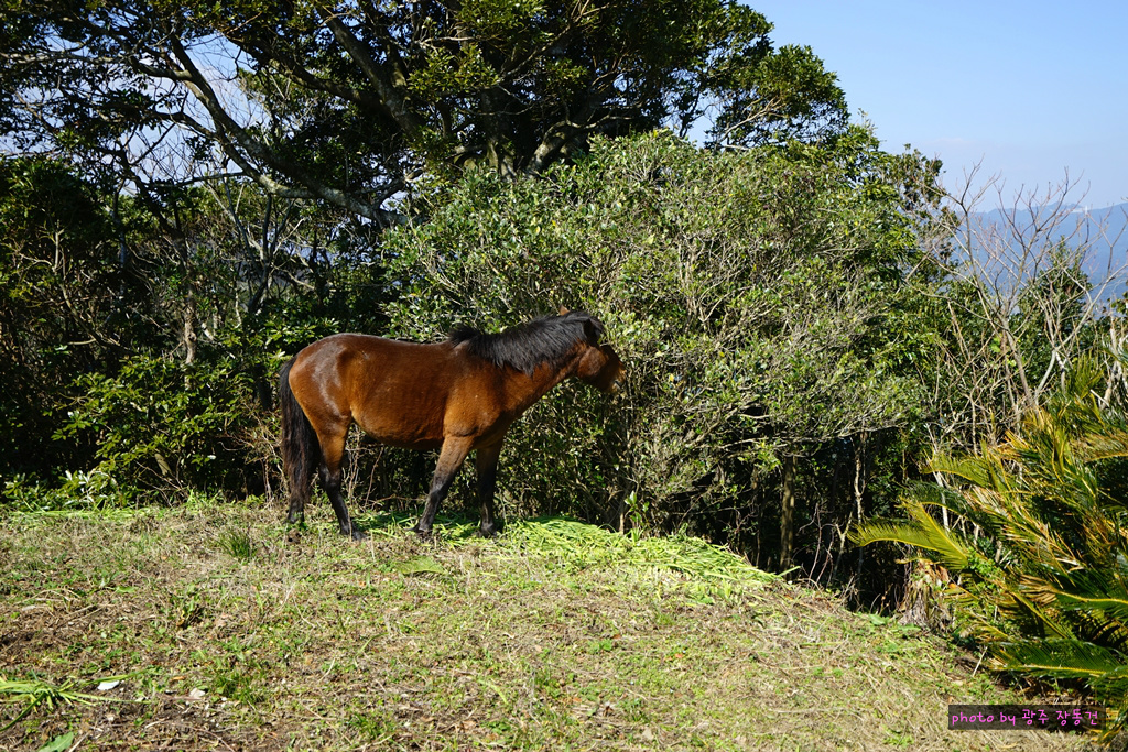 일본 바이크 투어 D+10 | 인스티즈