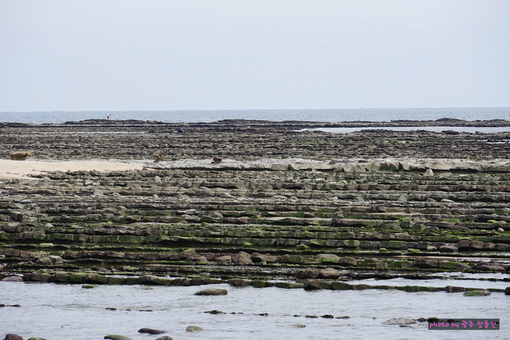 일본 바이크 투어 D+7 | 인스티즈