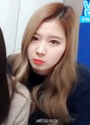 [트와이스] 오늘자 브이앱 생방송... 쯔위, 지효, 사나 (feat. 채영, 다현) | 인스티즈