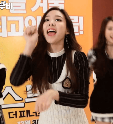 강아지 춤추는 트와이스.gif | 인스티즈