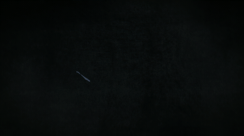 [free!] 덕후들이 뭘 좋아하는지 소름끼칠 정도로 잘 알고 있는 쿄애니... | 인스티즈