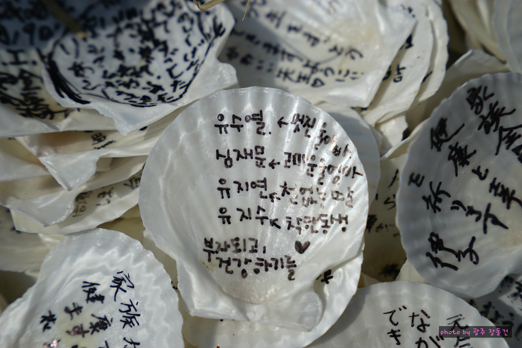 일본 바이크 투어 D+12,13 | 인스티즈