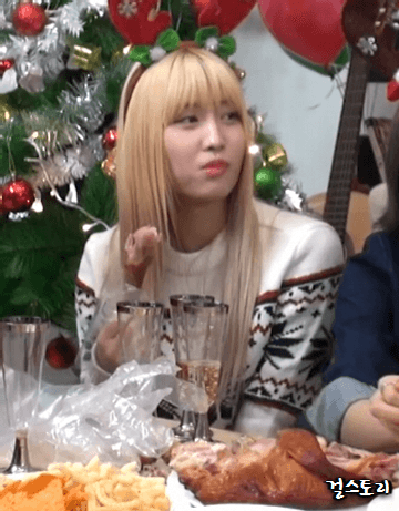 햄알못 트와이스 멤버들 | 인스티즈