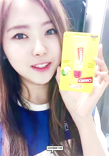 [프로듀스101] 데뷔조라는 소문이 있는 플레디스 연습생들 | 인스티즈