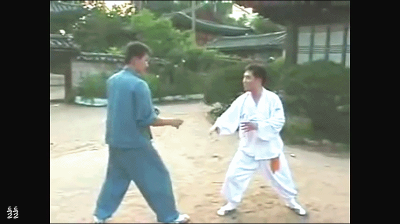 알도가 맥그리거에게 이 기술을 썼어야.... | 인스티즈