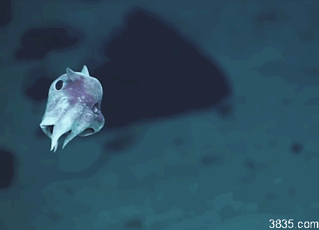 바다의 신비한 사실들 | 인스티즈